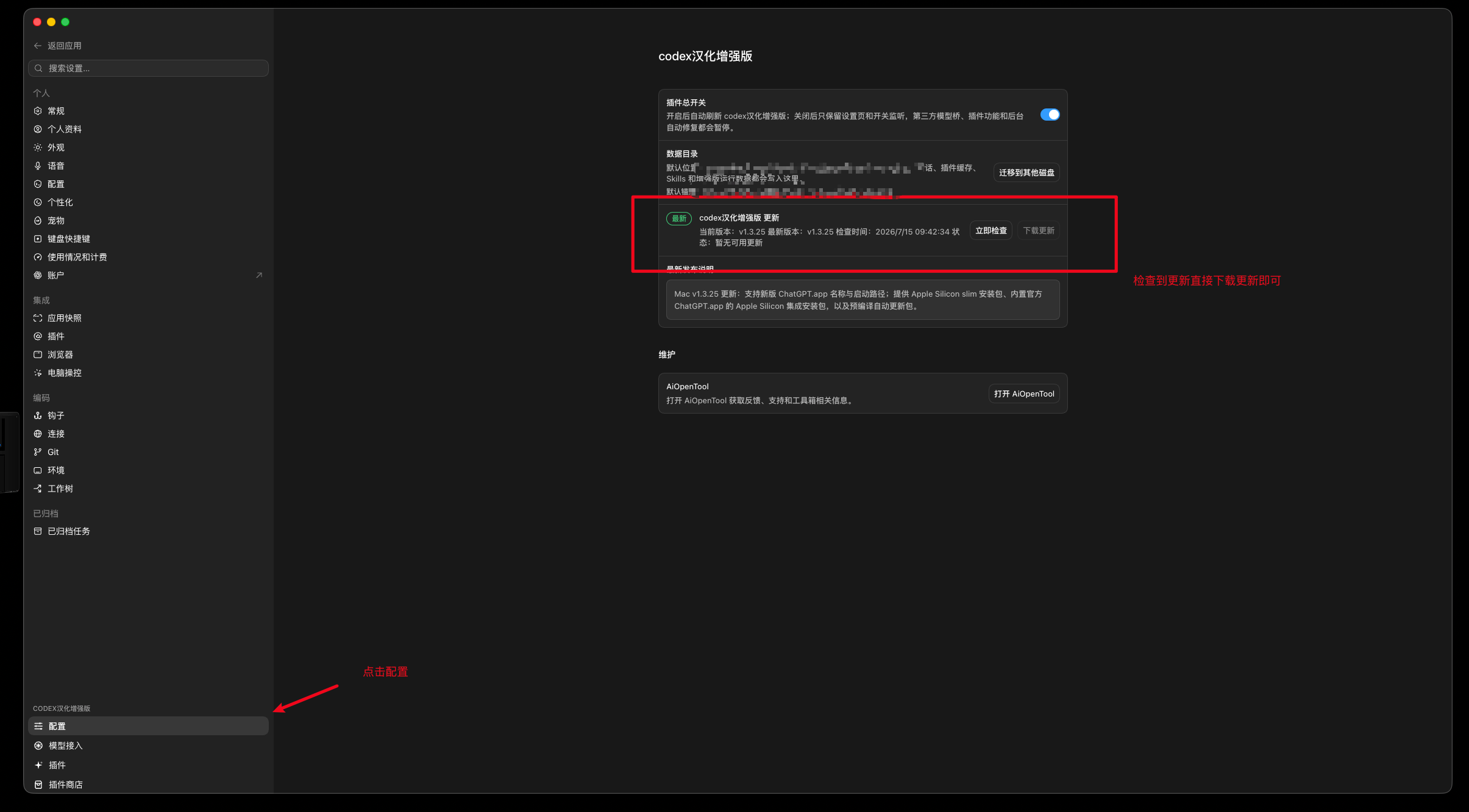 Codex 汉化增强版配置页面，标出了左下角配置入口和版本更新区域。